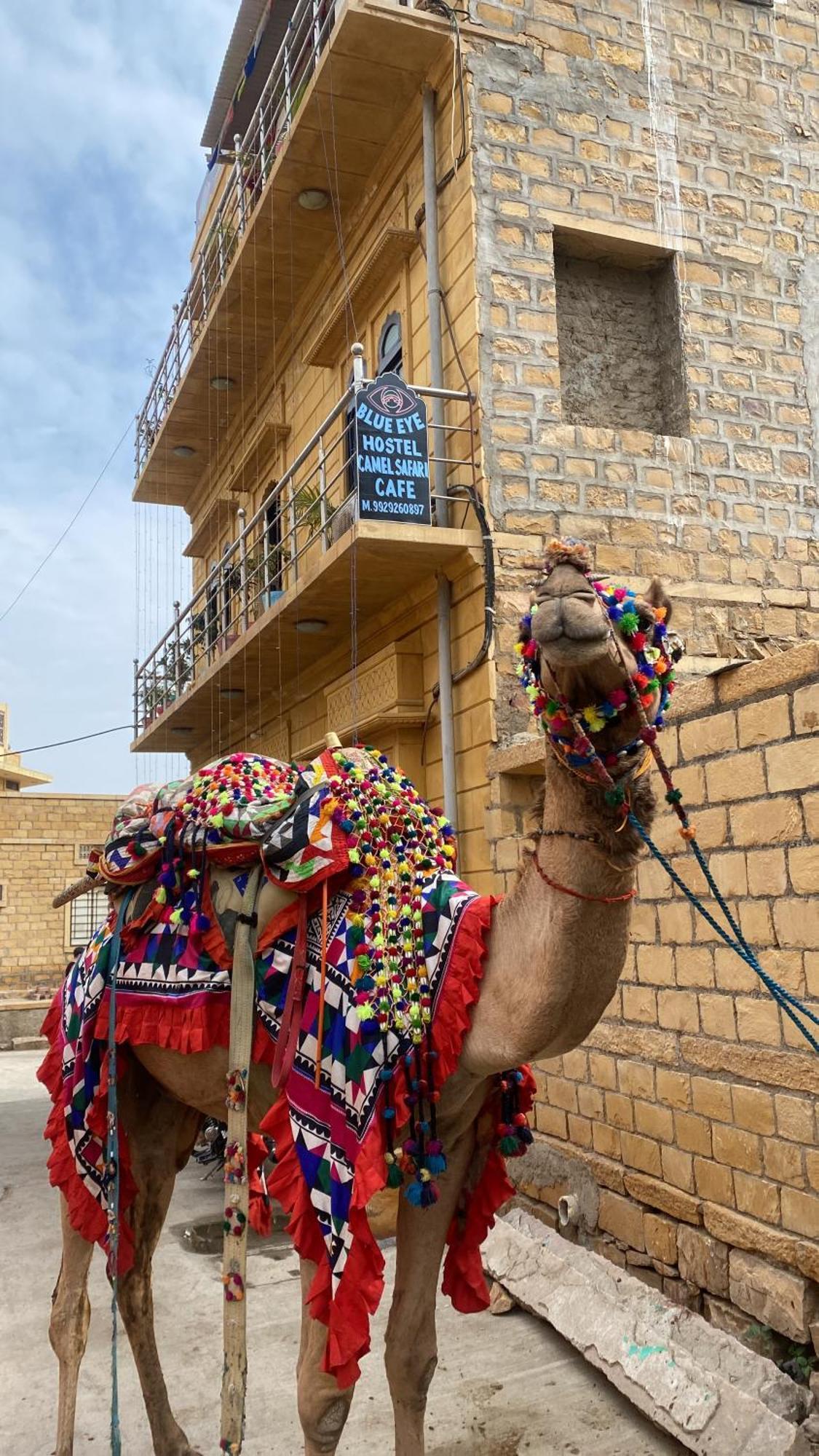 Blue Eye Hostel ジャイサルメール エクステリア 写真