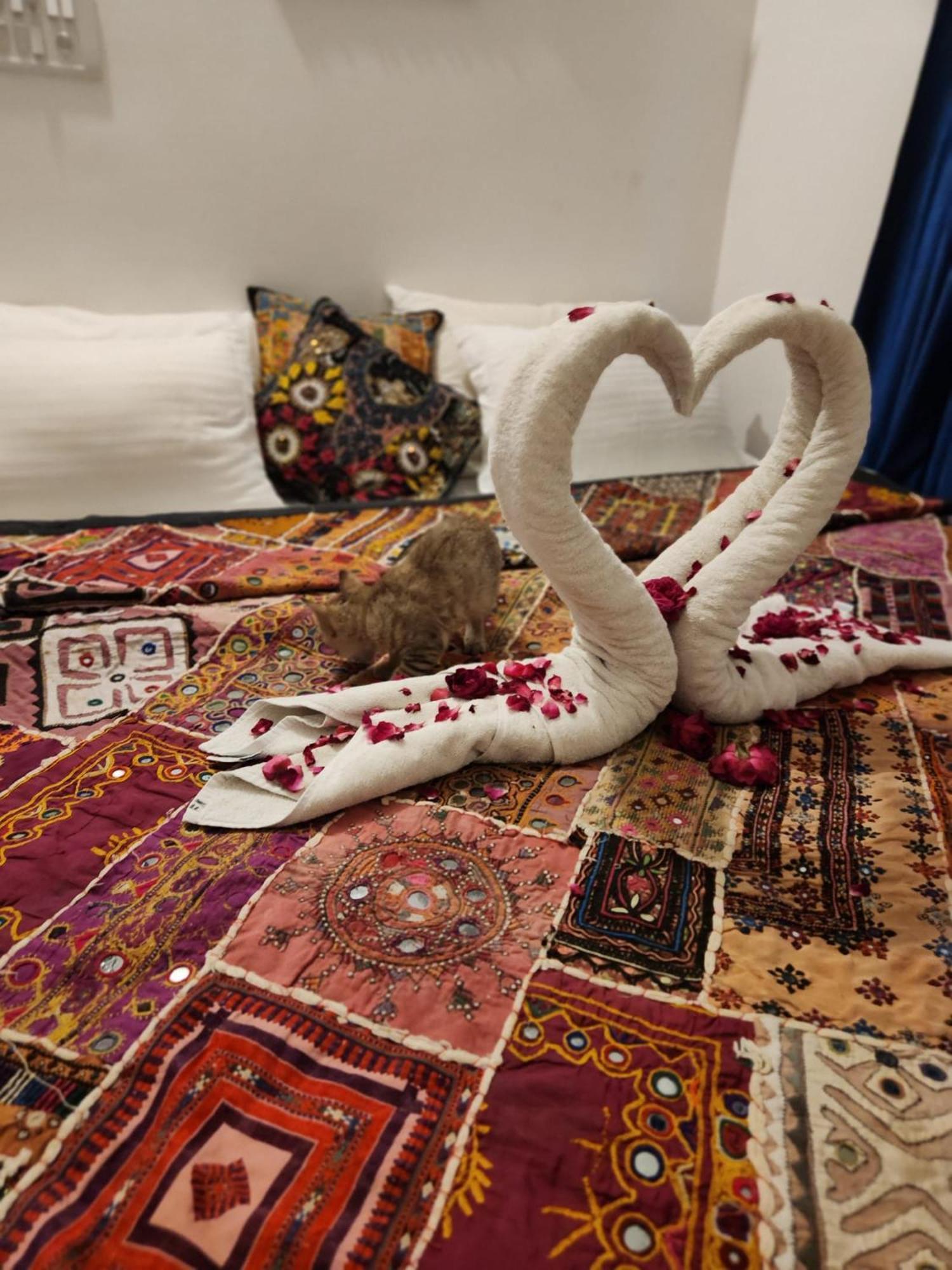 Blue Eye Hostel ジャイサルメール エクステリア 写真